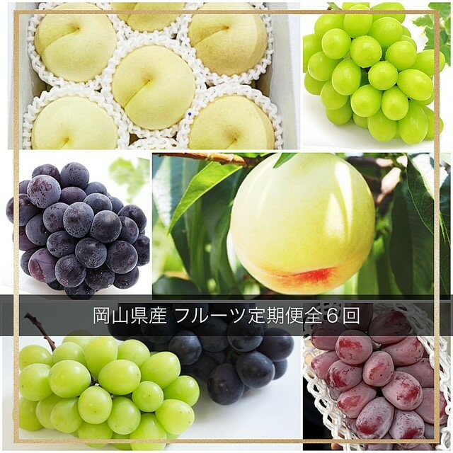 【ふるさと納税】【全6回コース】2026年 岡山県産　旬のフルーツ定期便 | フルーツ 果物 くだもの 食品 人気 おすすめ 送料無料