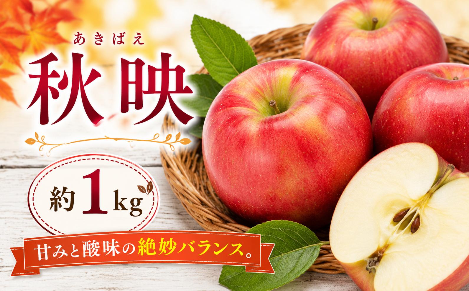 
                  【2026年先行予約】信州塩尻産 秋映 約1kg | 先行受付 果物 くだもの フルーツ 秋映 あきばえ りんご 林檎 りんご3兄弟 信州 長野県 塩尻市
                