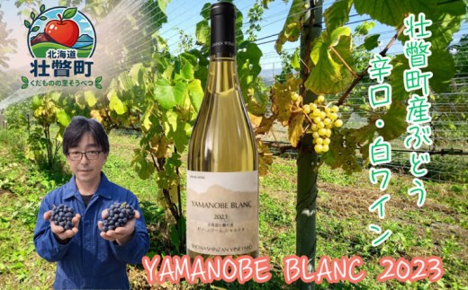 昭和新山ワイン YAMANOBE BLANC 2023(ヤマノベブラン）白ワイン 辛口 750ml 1本【ふるさと納税 人気 おすすめ 白ワイン 昭和新山 ワイン 白 辛口 お酒 壮瞥町産 ぶどう 100％ ピノノワール シャルドネ 丹波ワイン 北海道 壮瞥町 送料無料】SBTQ012