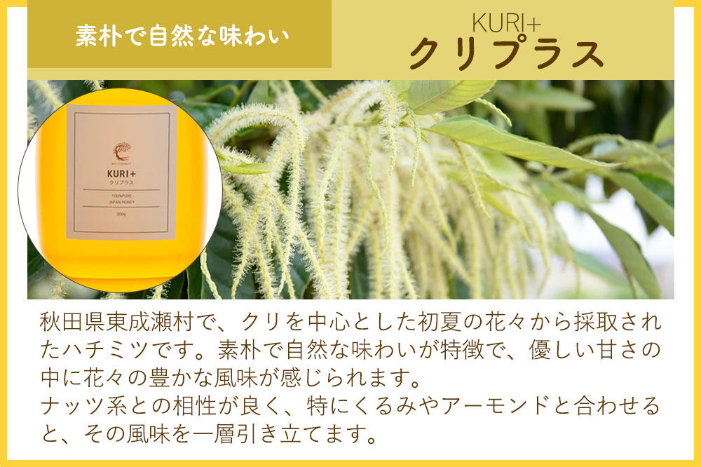 はちみつ3個セット（E.NARUSE・KURI＋・MARRONNIER ガラスびん）300g×各1個 計3個 [BEE CONNECT はちみつ ハチミツ 蜂蜜 セット ガラス瓶 瓶 マロニエ 栃 ト