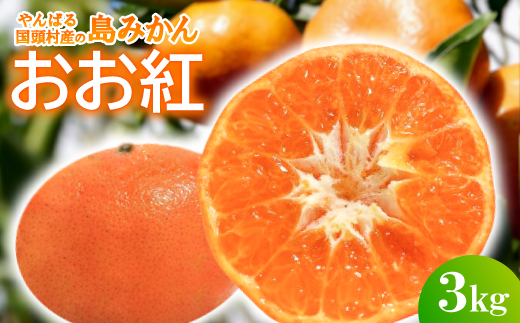 【2025年12月頃から順次発送】やんばる国頭村産の島みかん おお紅 3kg【1618480】