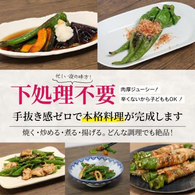 ふるさと納税 舞鶴市 京のブランド産品「万願寺甘とう」1kg 化粧箱入り |  | 01