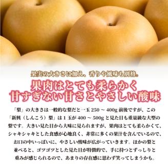 DS-07　新興梨 5kg