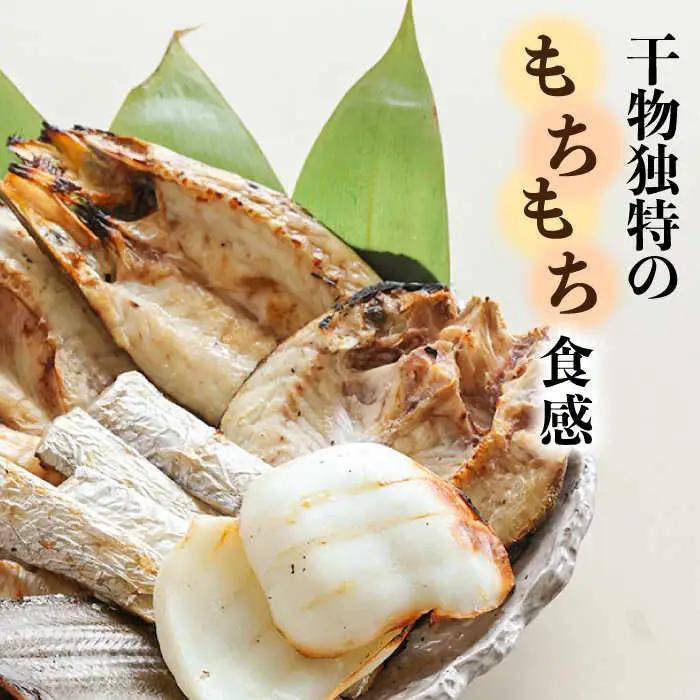 【職人の技】旬の干物 詰め合わせ 3-4種（6-8パック）×2セット / 魚 干物 干もの セット  / 南島原市 / ながいけ [SCH049]