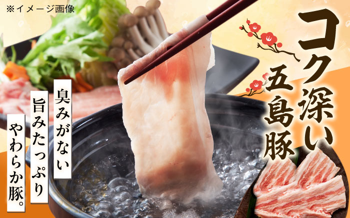 【五島豚の薄切り豚しゃぶ】五島あご出汁しゃぶしゃぶ 五島うどん セット 2～3人前【ＮＥＷパンドラ】[PAD003]