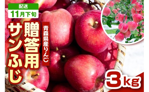 【2026年11月下旬発送】りんご 青森 サンふじ 3kg 程度 《 贈答用 》 農家直送 サンフジ 青森県 五所川原市 贈答 プレゼント 贈り物 林檎 リンゴ apple