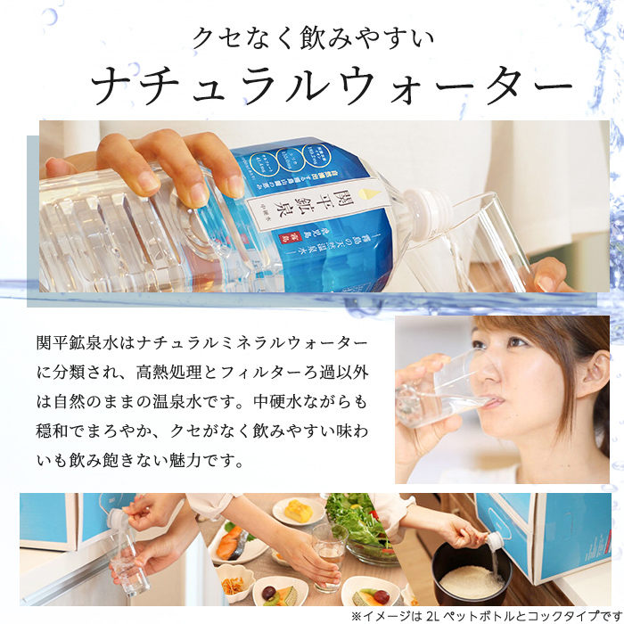 B-025 ＜定期便・全5回＞関平鉱泉水10L×1箱ずつお届け(計5箱)【関平鉱泉所】 霧島市 シリカ シリカ水 水 シリカミネラルウォーター