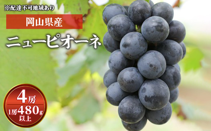 
            ぶどう 2024年 先行予約 ニュー ピオーネ 4房（1房 480g以上） ブドウ 葡萄  岡山県産 国産 フルーツ 果物 ギフト[№5735-1580]
          