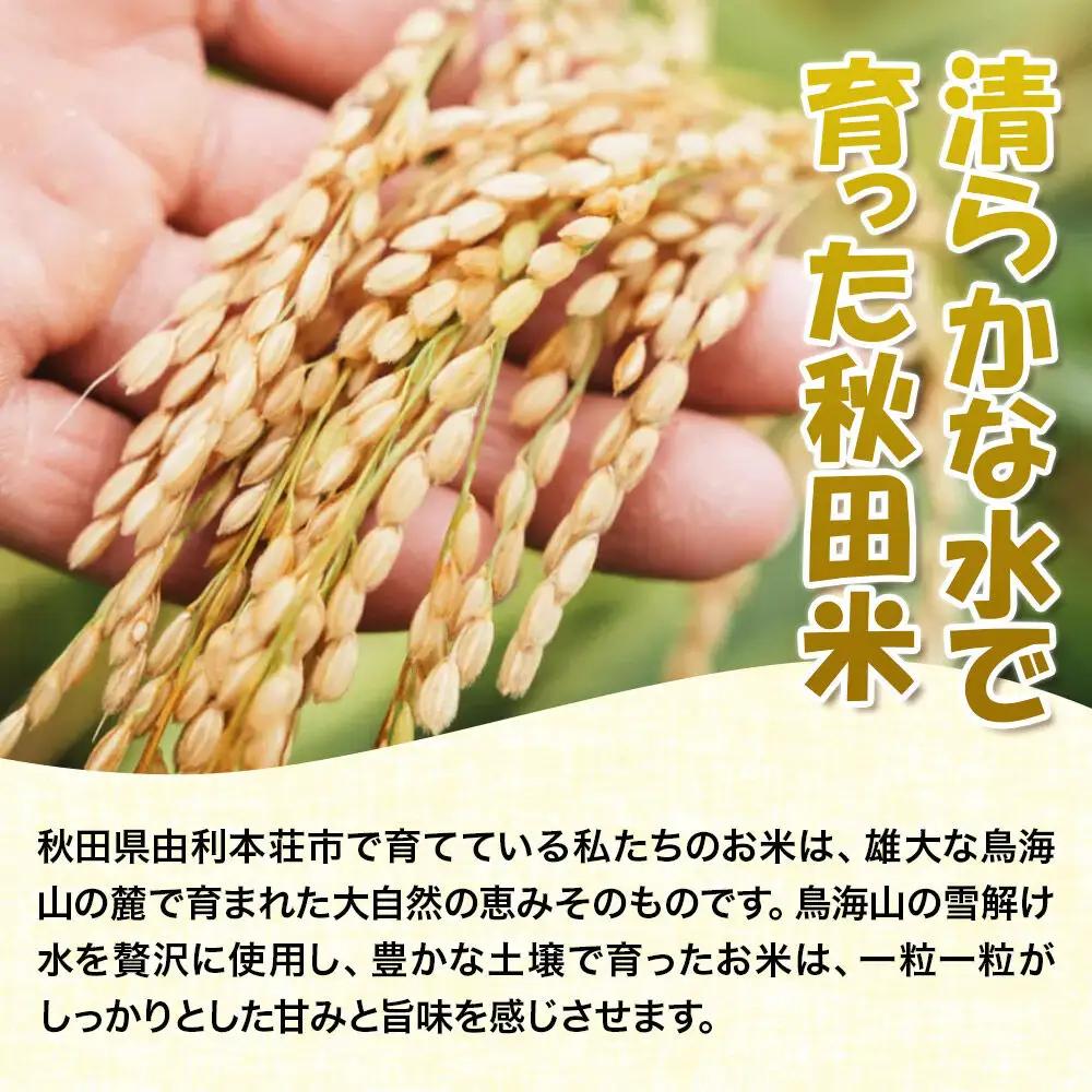 《新米受付》令和8年産【無洗米】ひとめぼれ 30kg 米 秋田
