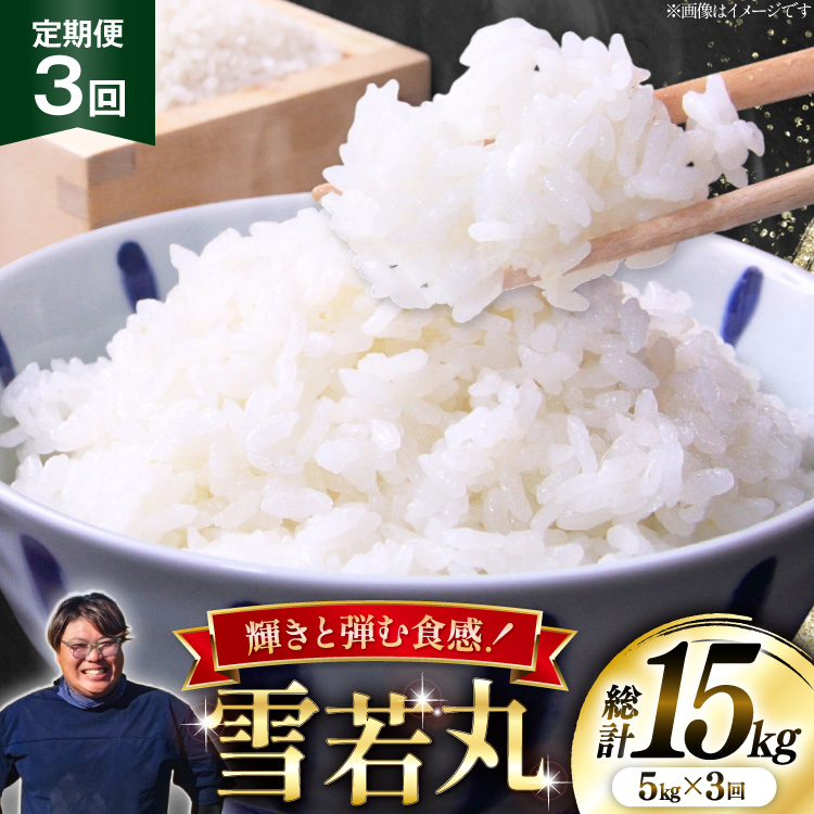 米 定期便 3回 令和8年産  雪若丸 5kg [本田勇仁 山形県 高畠町 tk06bgj910002] お米 白米 精米 ごはん ご飯 ブランド米
