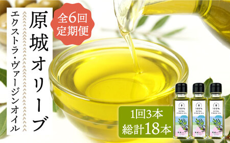 【6回定期便】原城オリーブエクストラヴァージンオイル100ml3本/オリーブオイルオリーブオイルオリーブオイルオリーブオイルオリーブオイルオリーブオイルオリーブオイル/ミナサポ[SCW058]
