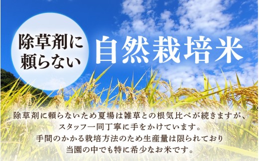 【先行予約】【令和8年産】伊与衛門農園の自然栽培コシヒカリ うまみ精米 5kg×2袋（計10kg） ＜温度と湿度を常時管理し新鮮米を出荷！＞ 米 白米 自然の力 高品質 鮮度抜群 ブランド米 福井県 