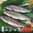 【ふるさと納税】桂川の冷凍ニジマス 約2.2kg 約20〜22尾 山梨県産