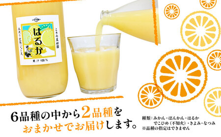 化粧箱入り 木成り 完熟 ジュース 2本セット 1000ml×2本 こうの果樹園 みかんジュース ストレートジュース ストレート 100%ジュース 蜜柑 果汁 100％ 濃厚 とろみ 飲料 柑橘 果物
