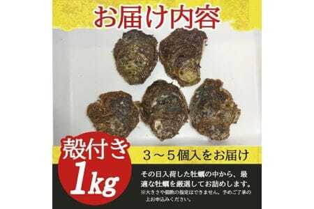 天然岩牡蠣 約1kg 3～5個入 殻付き 山形県遊佐町吹浦産 6月上旬～8月下旬頃お届け 冷蔵便 ※着日指定・離島（沖縄県を含む）発送不可 カキ かき 岩かき お取り寄せ 日本海 東北 庄内 鮮魚 新