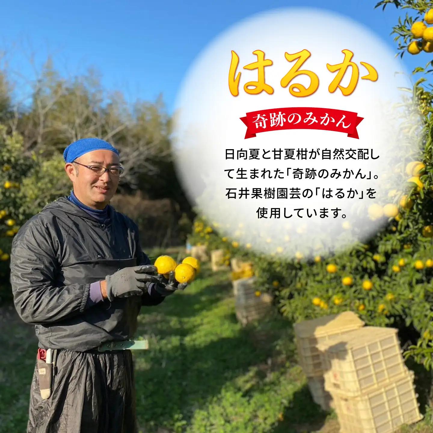 【期間限定】糸島はるかの炭酸水 500ml 24本入  [ARM021] 炭酸水