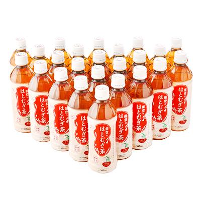 ふるさと納税 羽咋市 能登のはとむぎ茶　500ml×24本