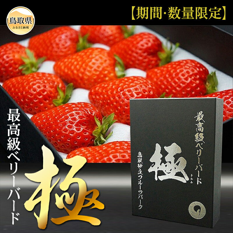 【ふるさと納税】C25-047 最高級ベリーバード 『極』【期間・数量限定】 鳥取県 おすすめ いちご イチゴ 苺 最高品種