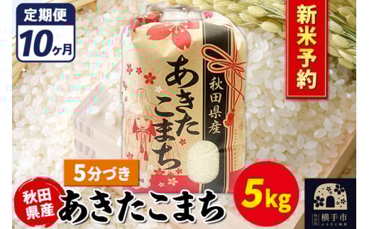 《令和7年産 新米受付》《定期便10ヶ月》あきたこまち 5kg【5分づき】秋田県産 こまちライン