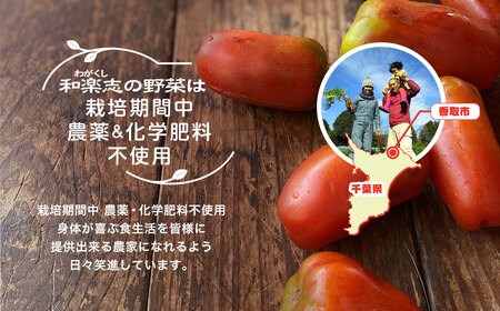 栽培期間中 農薬不使用　季節のお野菜セット  WGS001