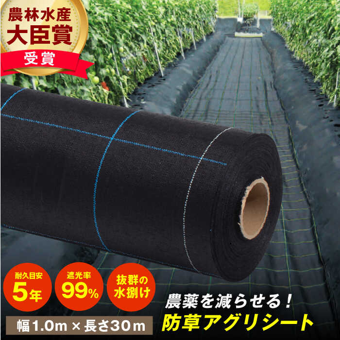 【ふるさと納税】防草アグリシート（BB1515・耐久目安5年・幅1.0m×長さ30m） 園芸 庭 除草 草よけ 日よけ 農業 シート 広川町 / 日本ワイドクロス株式会社[AFCA007]