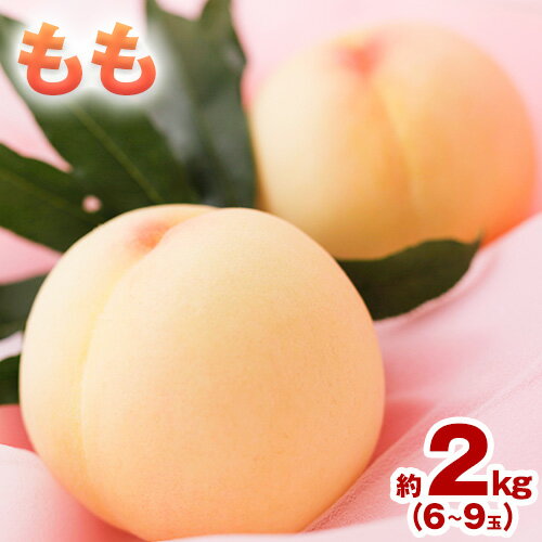 【ふるさと納税】【先行予約】もも 桃 恵白・白麗・白露・白皇 いずれか1品種をお届け 2kg 6～9玉 小寺農園《2025年8月上旬-8下旬頃出荷》 岡山県 笠岡市 岡山県産 白桃 恵白 白麗 白露 白皇 モモ 果物 フルーツ 先行予約