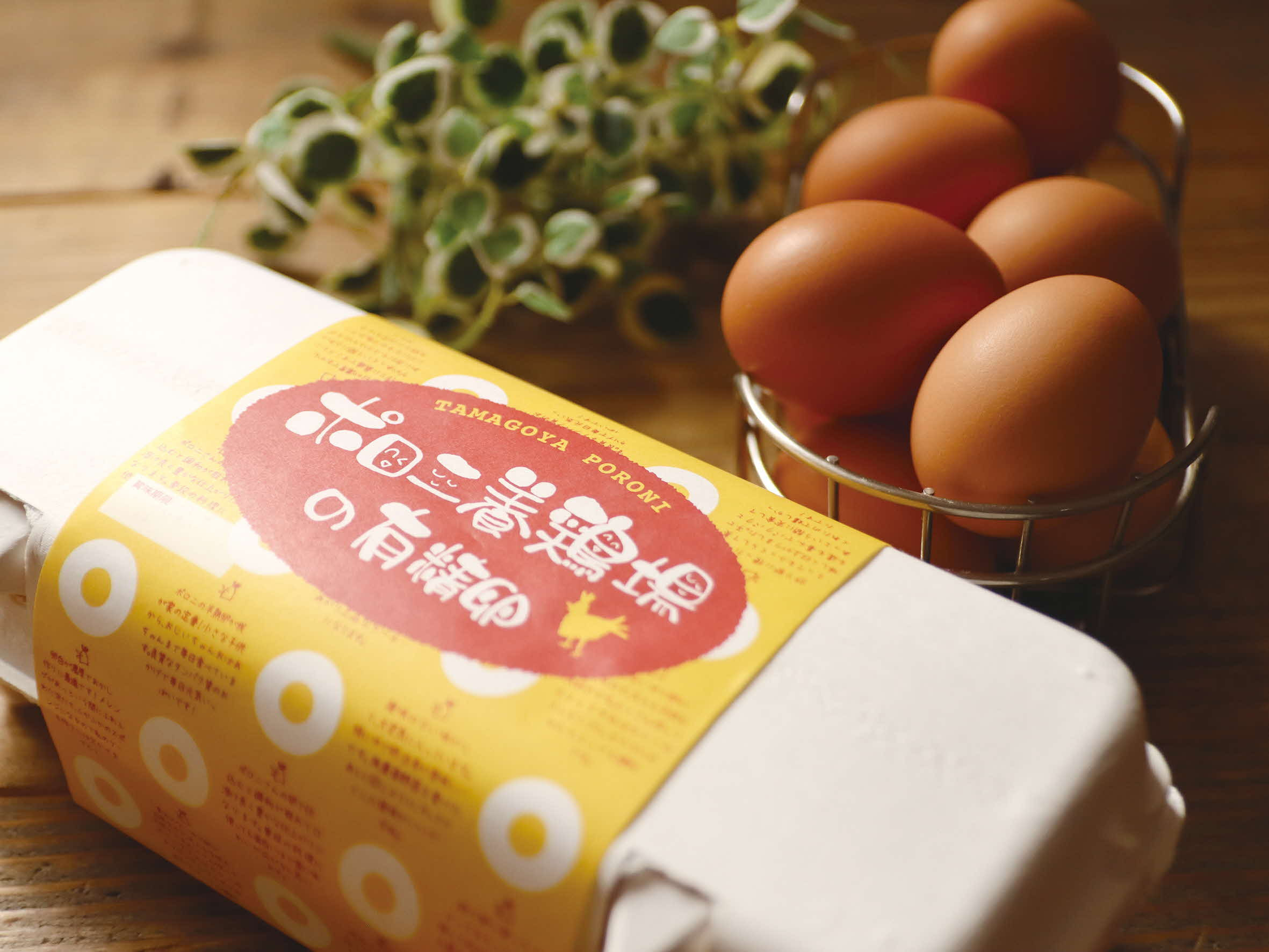 
            【3カ月定期便】有精卵 計30個（10個×3パック）【 たまご ポロニ養鶏場 デザート ケーキ お菓子 標茶町 北海道 】
          