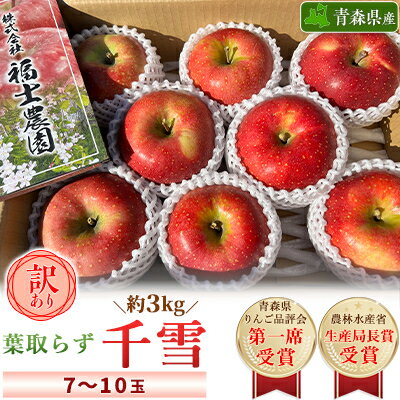【ふるさと納税】「葉取らず千雪」約3kg・訳あり家庭用りんご【配送不可地域：離島・沖縄県】【1377377】