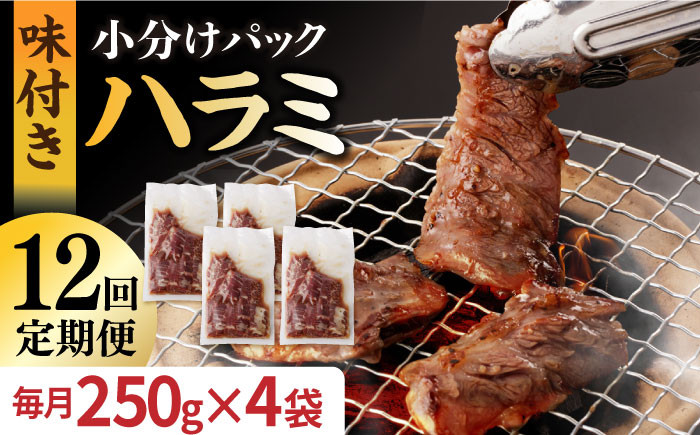 
            【全12回定期便】ハラミ【塩だれ】九州産和牛ハラミ 1kg（ 250g×4袋） 長与町/岩永ホルモン [EAX095] 国産 牛肉 ハラミ 牛ハラミ はらみ 小分け 味付き サガリ 焼肉 焼き肉 塩 しお 冷凍 焼肉 焼き肉 やきにく 九州 定期便 ていきびん 定期
          