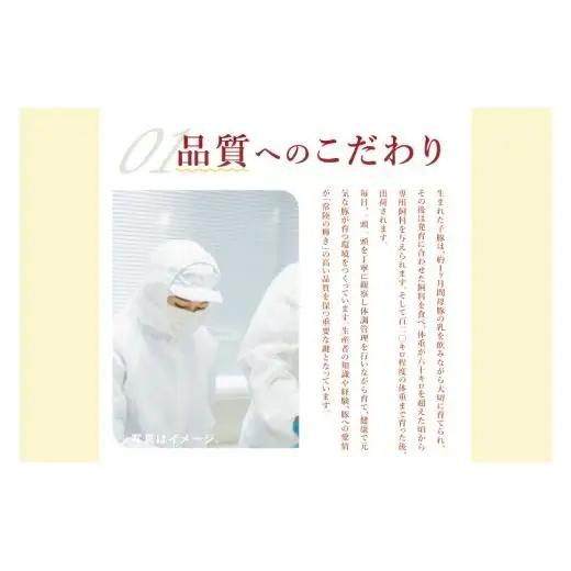【茨城県共通返礼品/鉾田市】国産常陸の輝き豚バラスライス 1.0kg(250ｇ×4Ｐ) | 霜降り 柔らかい 高品質 茨城県産(92-11)