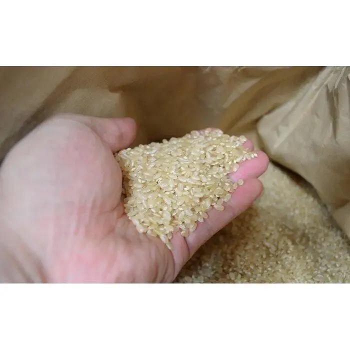 定期便【令和8年新米予約】玄米5kg×6回 南魚沼産コシヒカリ＜6ヶ月定期便＞農家直送_AG【令和8年9月下旬から1ヶ月以内に順次発送予定】 |新米