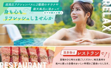 四十八滝温泉しぶきの湯遊湯館 入浴回数券12枚綴り 飛騨国府観光株式会社 EL002