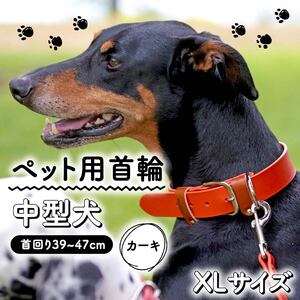 【 ペット 用 】 首輪 中型犬 XLサイズ カーキ 39-47cm ペット