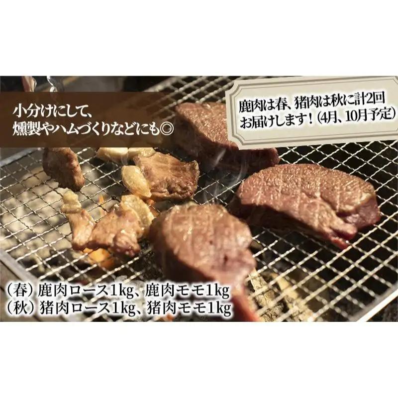 ジビエ肉 美味しい季節の ジビエ 定期便 1kg×4 ジビエ肉