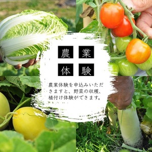 体験 宿泊 刃物研ぎ講習と砥石づくり＆五右衛門風呂のある 一棟貸切 古民家での宿泊 京都 旅行