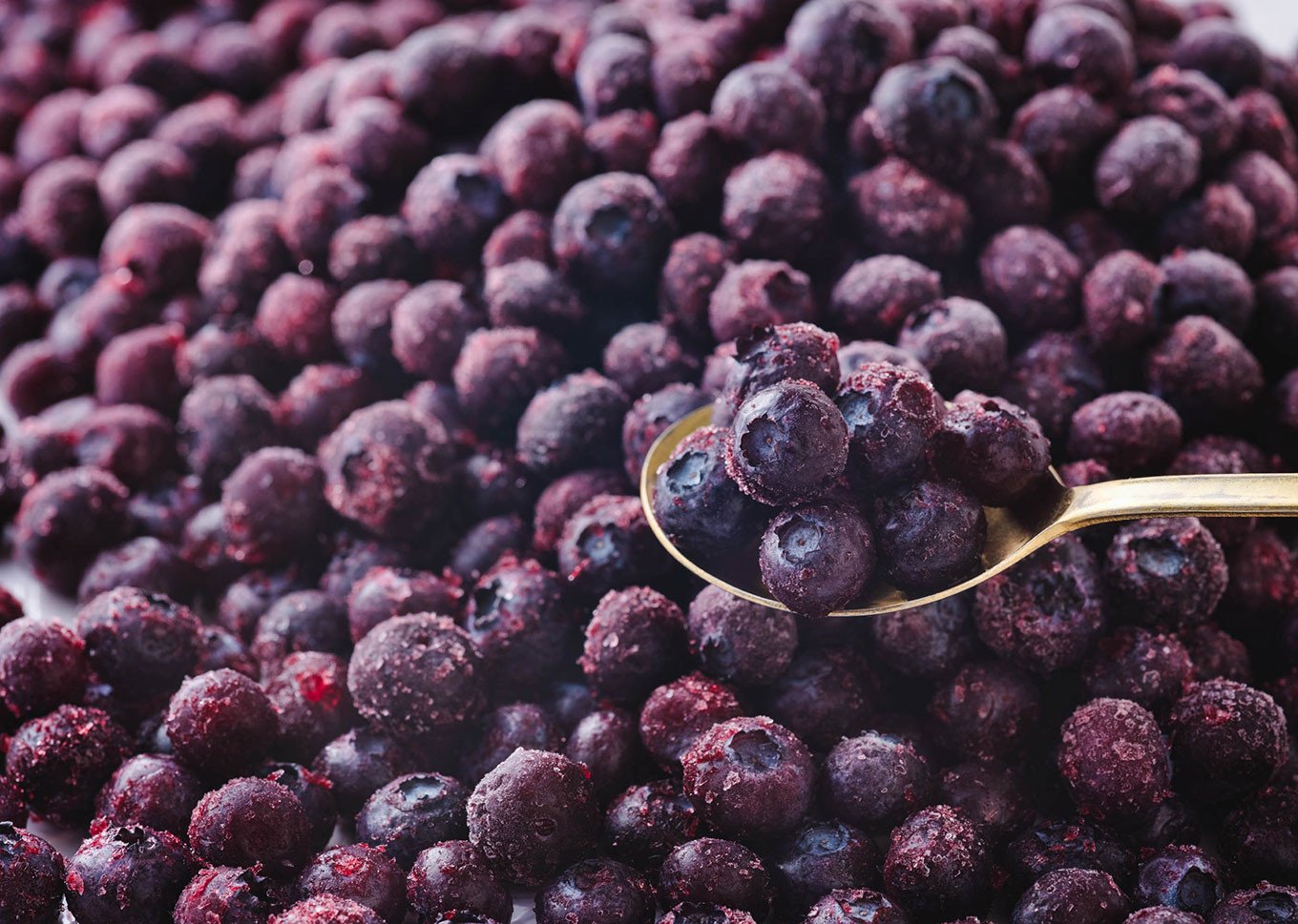 ※画像はイメージです