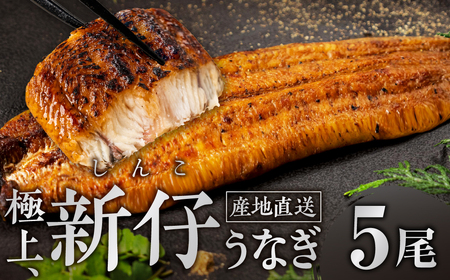 ５尾 希少 豊橋うなぎ 蒲焼 厳選 国産 新仔うなぎ 若うなぎ 鰻 簡易包装 ウナギ うなぎ 鰻 蒲焼 山義養魚 ギフト 配布 ひつまぶし 土用丑の日 ギフト 冷凍 増量 丑の日 簡単調理 うなぎ お取り寄せ 送料無料