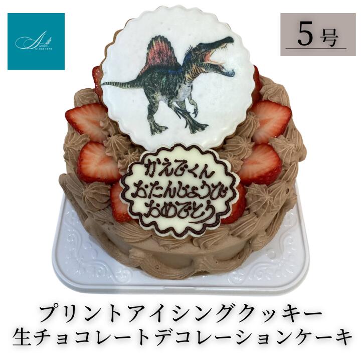 【ふるさと納税】プリントアイシングクッキー 生チョコレートデコレーションケーキ/5号