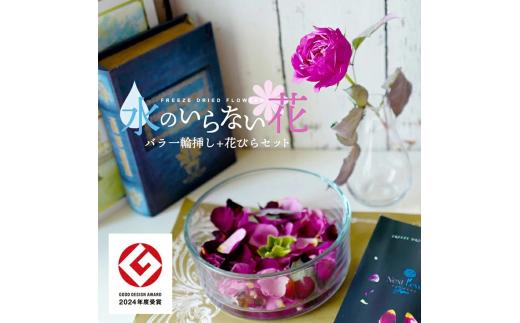 水のいらない花　ゼロフラワー「バラ一輪挿し＆花びらセット」 SL0210