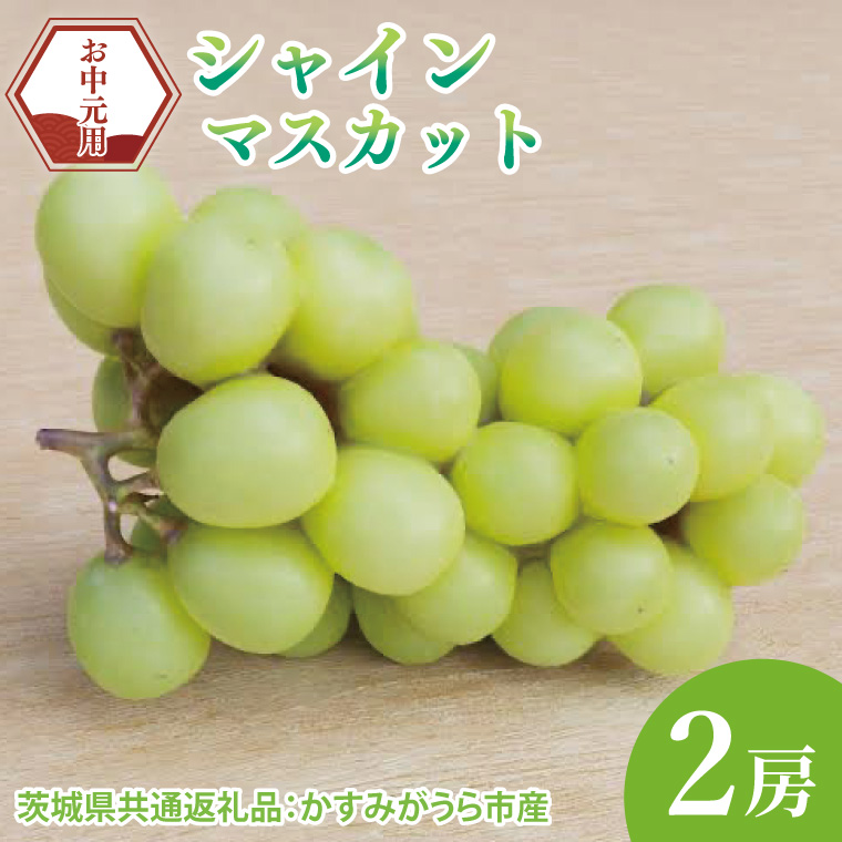【先行予約】【お中元】シャインマスカット2房（茨城県共通返礼品：かすみがうら市）（CD178）
