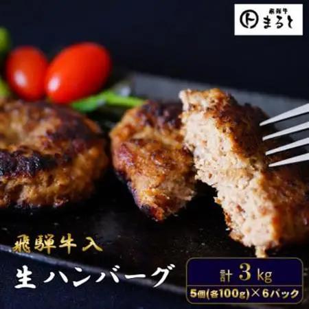 飛騨牛入特製生ハンバーグ　100g×30個【配送不可地域：離島】【1721802】