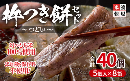 たんちょう杵つき餅セット 『つどい』 計40個 特別栽培もち米使用！ ～幻のもち米100％使用～ 【つきたて モチモチ 添加物・保存料不使用 焼いてそのままでも おやつに 餅 もち おもち お餅 丸もち 福井 坂井市】 [A-2998]