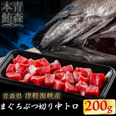 ふるさと納税 むつ市 津軽海峡産マグロ　中トロブツ切　200g
