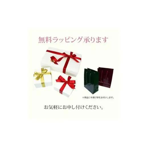 シルバー　キュービック　ペンダントネックレス　57?11274　【111-005】