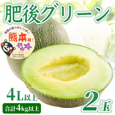 肥後グリーンメロン 2玉 4L以上 約4kg(宇城市)【1702449】