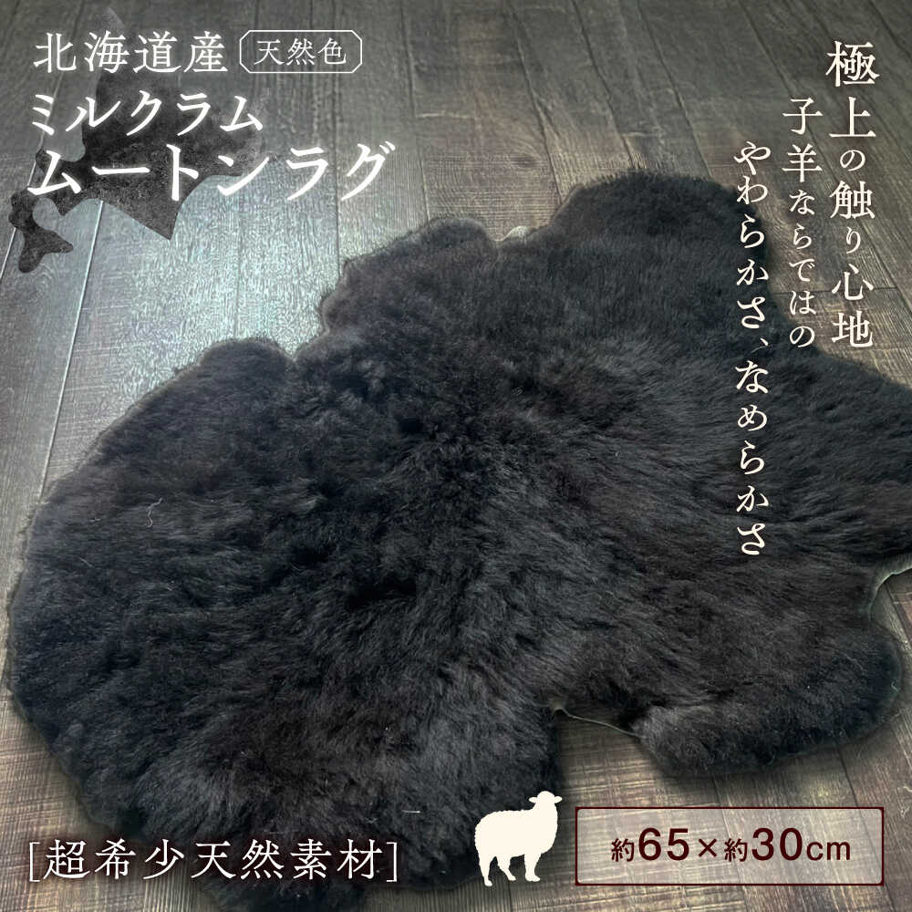 【ふるさと納税】希少 ミルクラム ムートン （ 天然 ブラック ） 約 65cm 《足寄町》【石田めん羊牧場】 ラグ 羊 ひつじ 羊毛 天然素材 高級 インテリア マット 絨毯 じゅうたん ペット 赤ちゃん ベビー 赤ちゃん用 ベビー用 ペット ペット用 介護 介護用 北海道 [BEAD002]