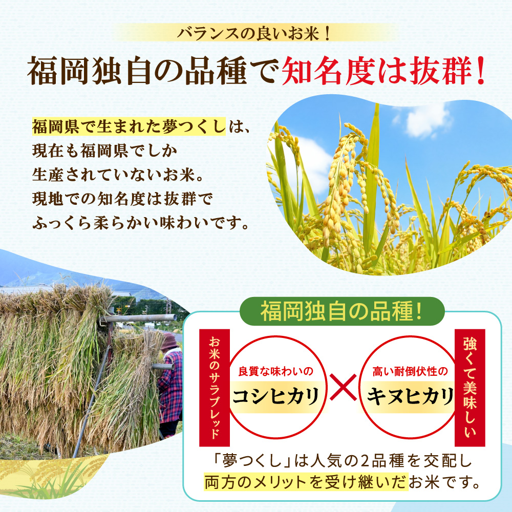 【数量限定】令和7年産 夢つくし(精米) 福岡県産ブランド米 10kg (品番:3X11R7)