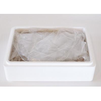 ふるさと納税 伊勢市 【2025年3月上旬発送】ぬか床1kg　自分で作るぬか漬けセット　伊勢志摩の味　1573 |  | 01
