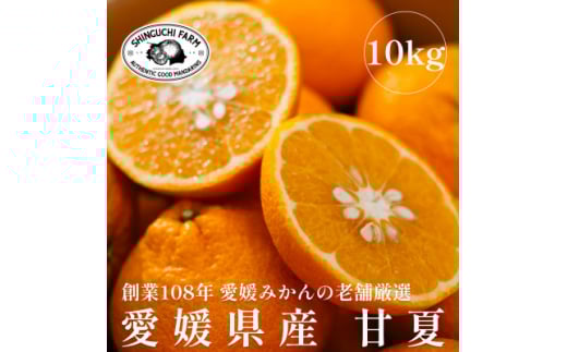 愛媛みかんの老舗厳選＜甘夏10kg＞＜E70-27＞【1470661】