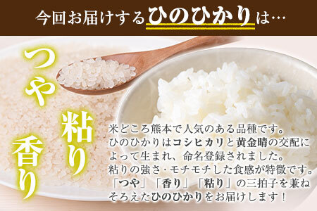 米 【6ヶ月定期便】令和5年産 ひのひかり 無洗米4kg 熊本県 荒尾市産 米 無洗米 つゆくさ農園 《お申込み月の翌月から出荷開始》